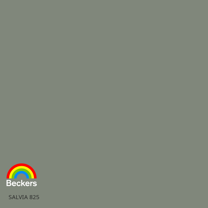 Salvia 825
