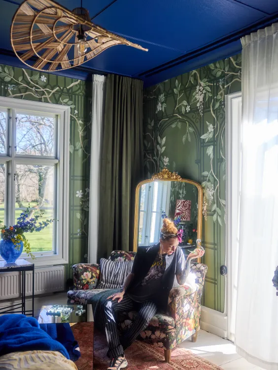 Lena Nyholm Grå gåsen