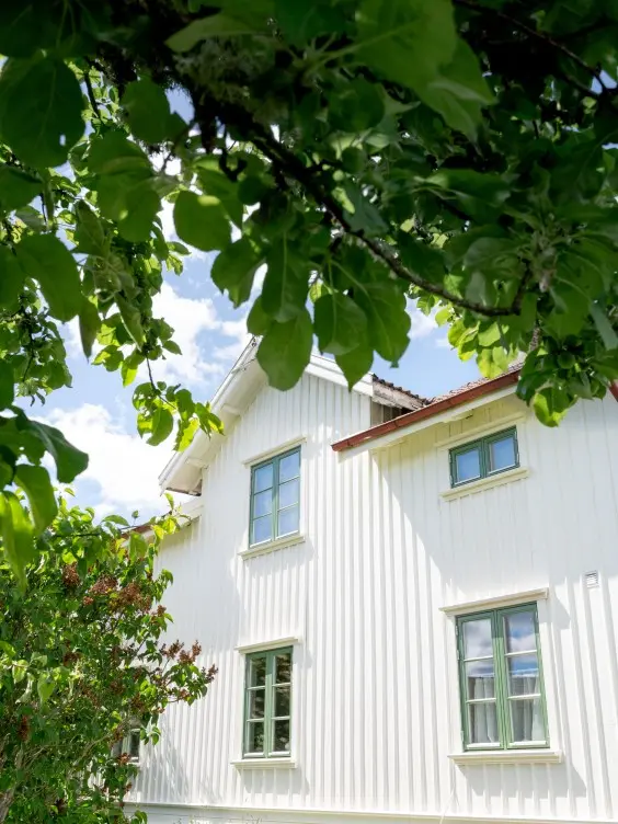 Lummigt och strikt vit villa