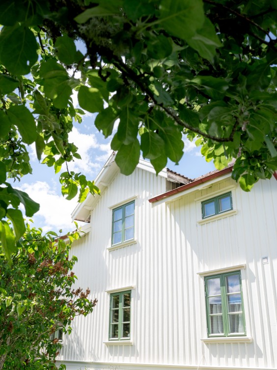Lummigt och strikt vit villa