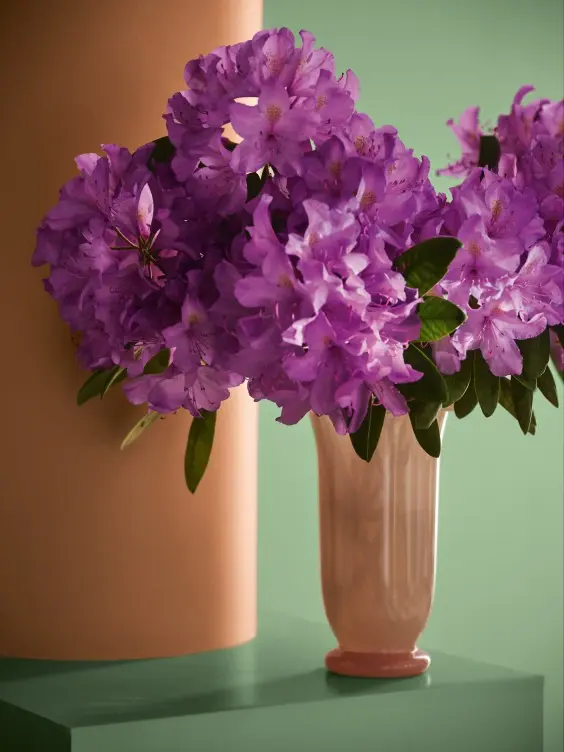 Blommor