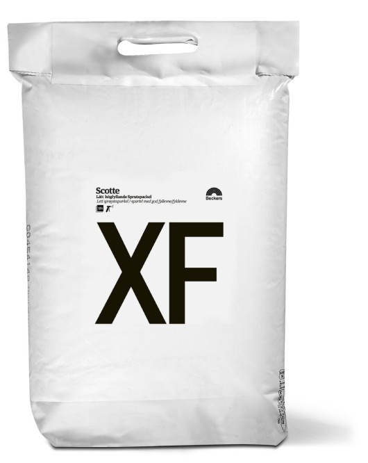 Scotte XF Spackel