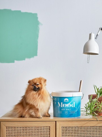mood air wall