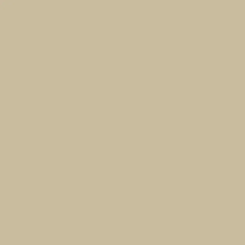 Stensopp 051