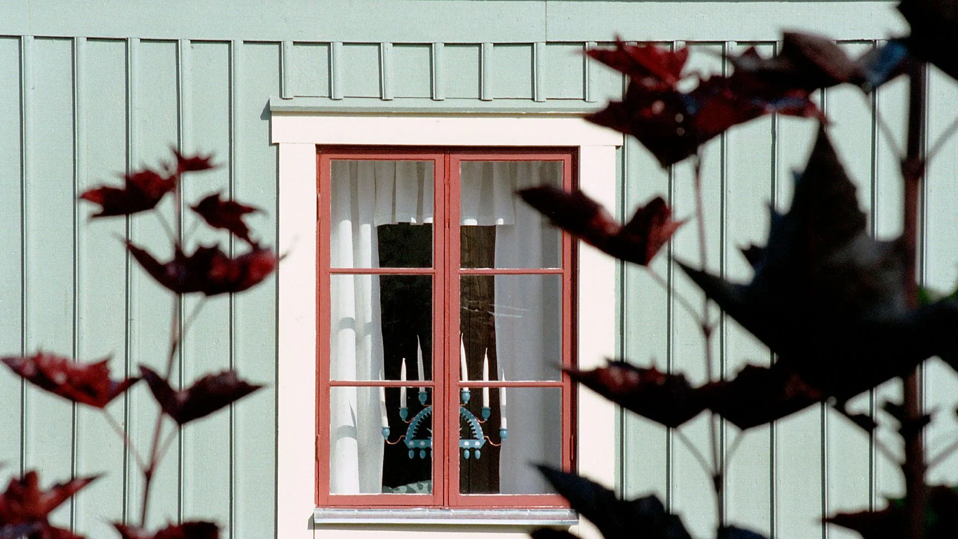 Fönster-buskar-träfasad