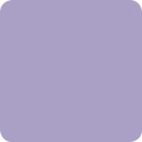 Viol 19